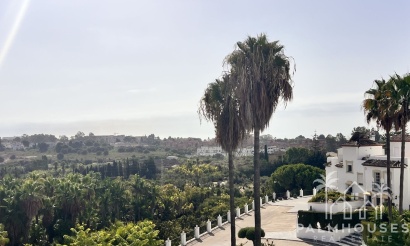 Apartment - Venta - Bel Air - Inland
