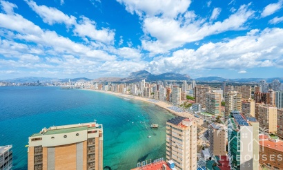 Apartment - Venta - Benidorm - 