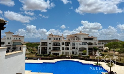 Apartment - Venta - Murcia - Hacienda Riquelme