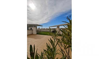 Apartment - Venta - San Miguel de Salinas - San Miguel