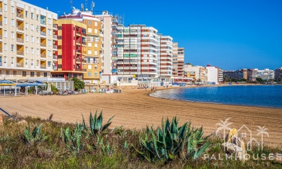 Apartment - Venta - Torrevieja - Acequion