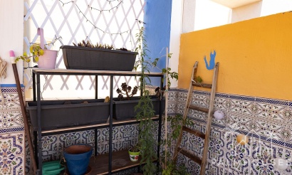 Apartment - Venta - Torrevieja - Costa Blanca