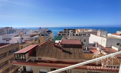 Apartment - Venta - Torrevieja - Paseo maritimo