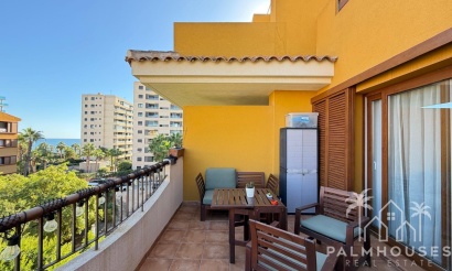 Apartment - Venta - Torrevieja - Punta Prima