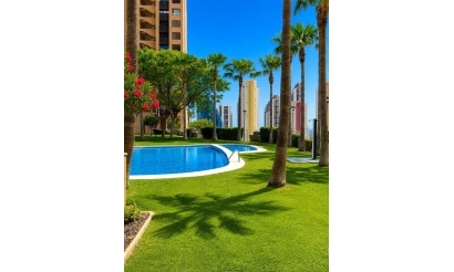 Apartments - Resale - Benidorm - Benidorm Centro