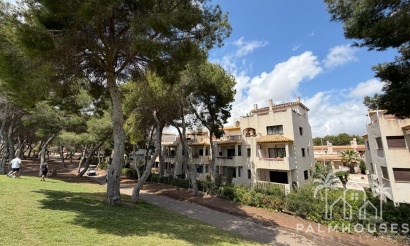 Apartments - Resale - Las Ramblas - Orihuela Costa