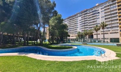 Apartments - Resale - Orihuela Costa - Campoamor