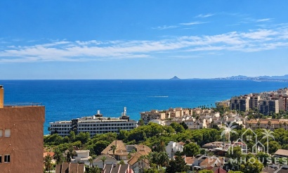 Apartments - Resale - Orihuela Costa - Campoamor