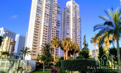 Appartement - Herverkoop - Benidorm - Benidorm Centro
