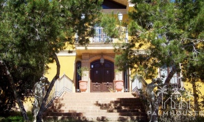 Finca - Herverkoop - Ciudad Quesada - Lo Pepin