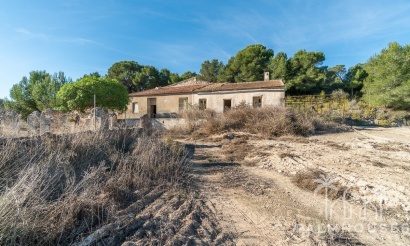 Finca - Herverkoop - Pilar de La Horadada - Pinar de la Perdiz