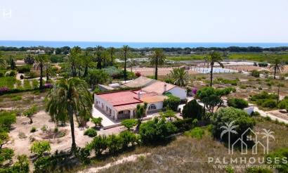 Finca - Resale - La Marina - Costa Blanca