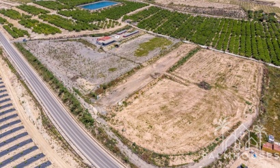 Finca - Resale - Los Montesinos - Los Montesinos