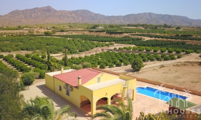 Finca - Revente - Albatera - Albatera