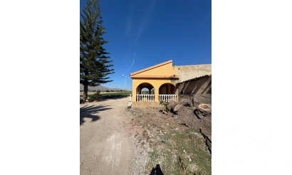 Finca - Revente - Granja de Rocamora - Granja De Rocamora