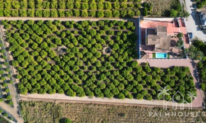 Finca - Revente - Orihuela - Inland