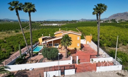 Finca - Revente - Orihuela - Orihuela