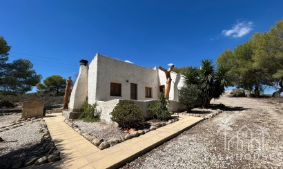 Finca - Revente - Torremendo - Torremendo