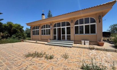 Finca - Venta - Dolores - Comunidad Valenciana