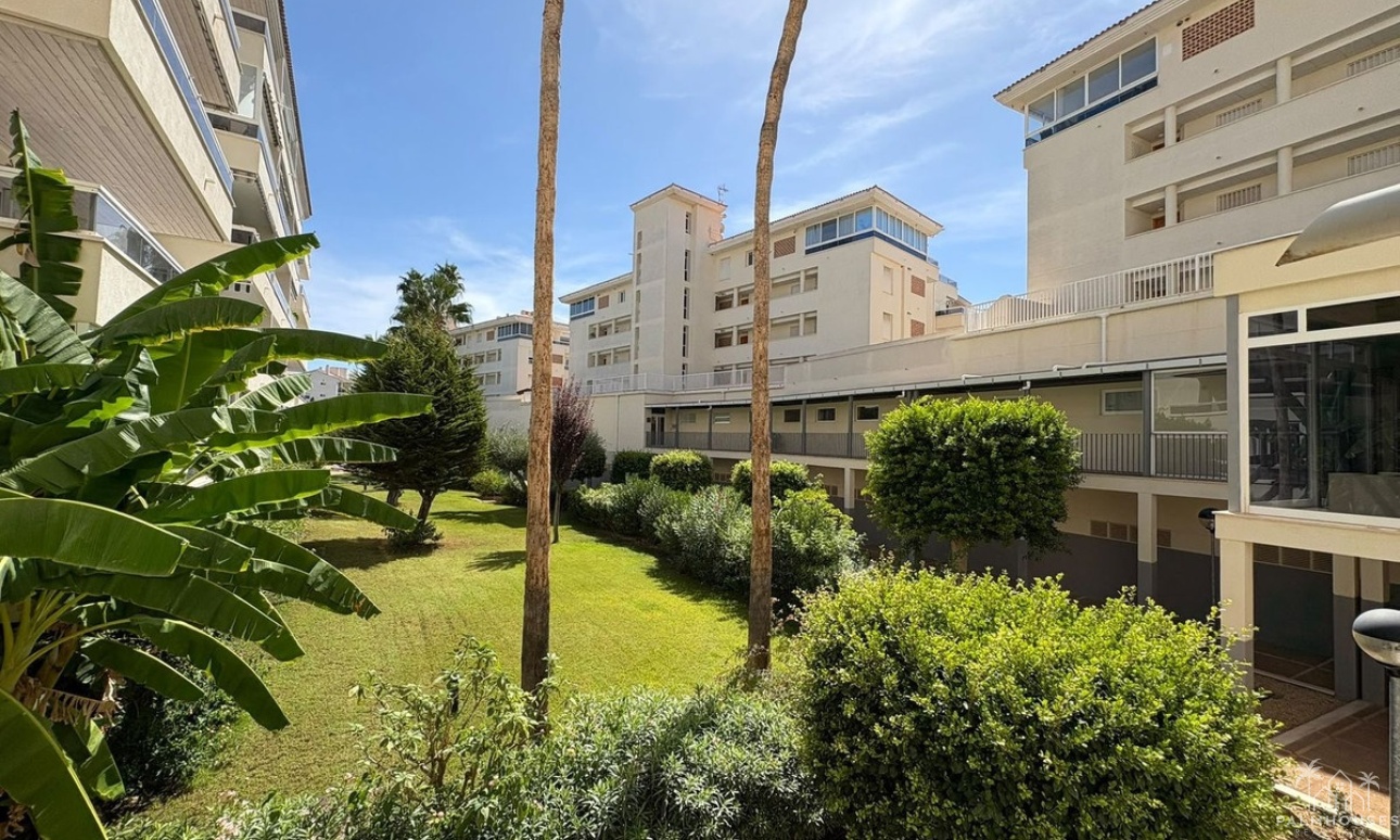 Herverkoop - Appartement - Alfaz del Pi - Albir