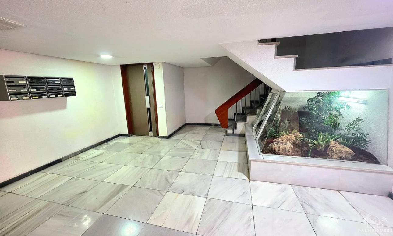 Herverkoop - Appartement - Alicante - Alicante Centro