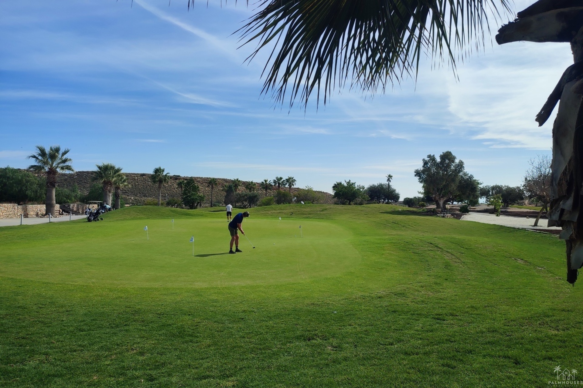 Herverkoop - Appartement - Altaona Golf - Inland