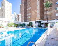 Herverkoop - Appartement - Benidorm - Benidorm Centro