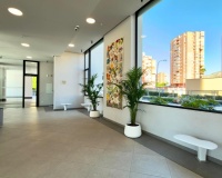 Herverkoop - Appartement - Benidorm - Benidorm Centro