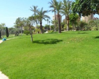 Herverkoop - Appartement - Benidorm - Benidorm Centro