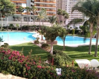 Herverkoop - Appartement - Benidorm - Benidorm Centro