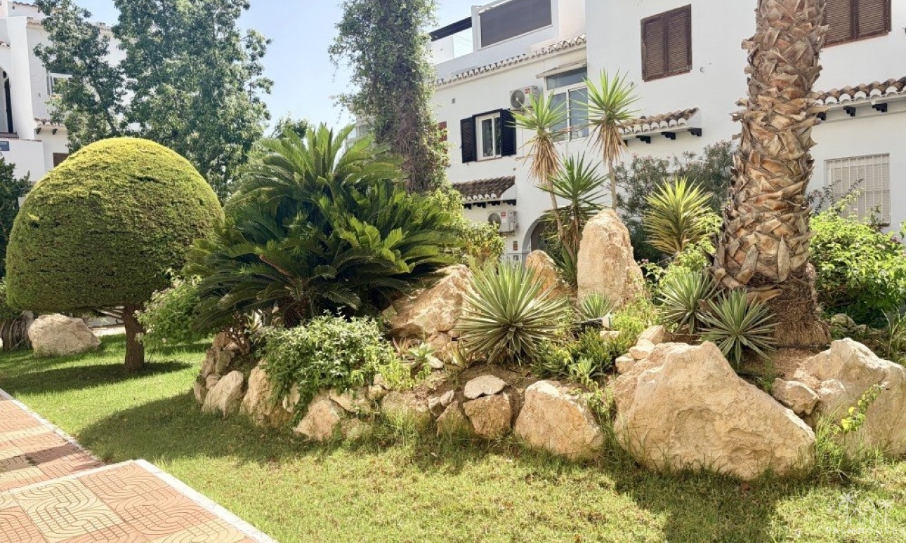 Herverkoop - Appartement - Ciudad Quesada - Costa Blanca