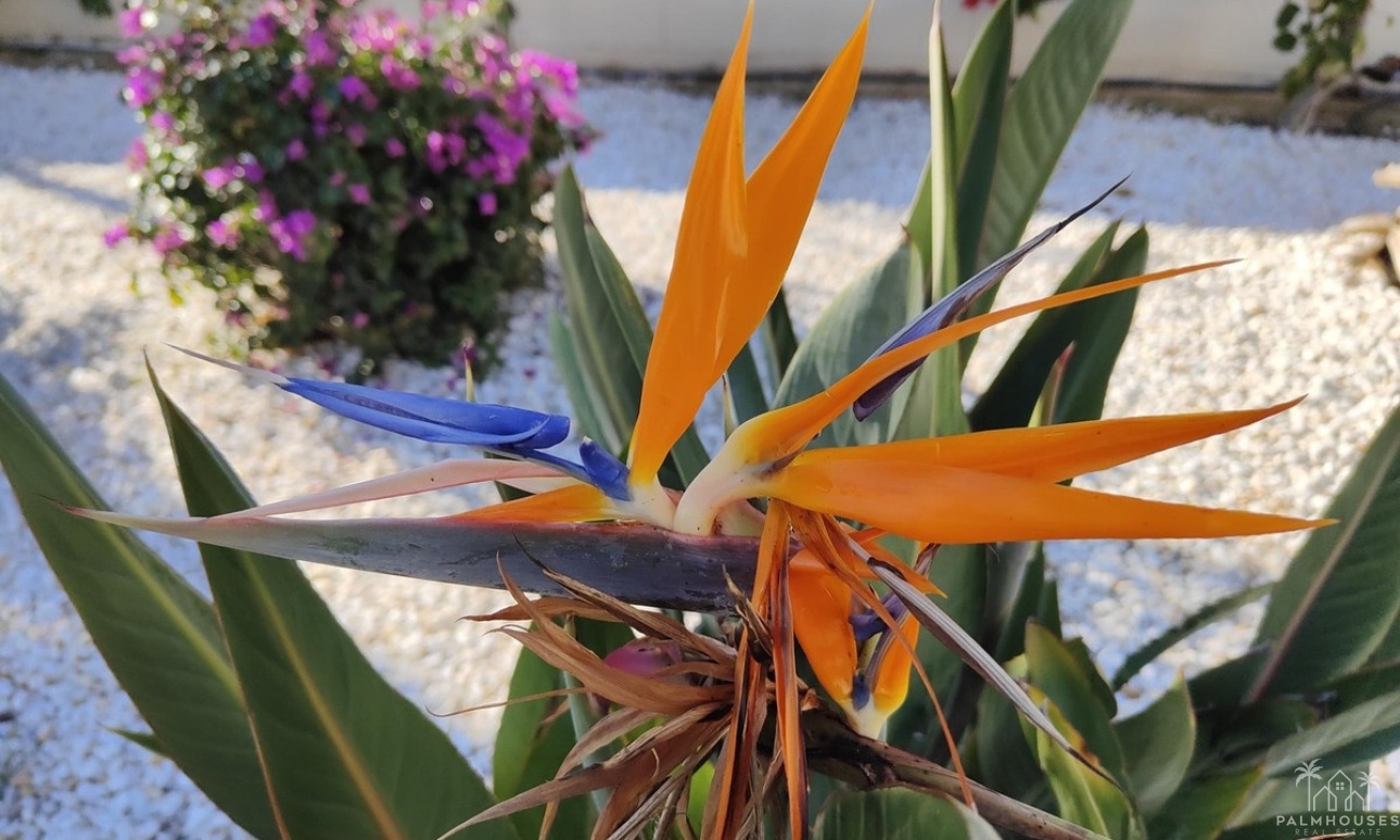Herverkoop - Appartement - Denia - Denia Centro