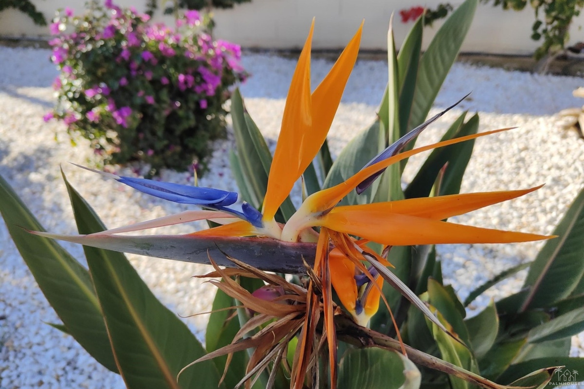Herverkoop - Appartement - Denia - Denia Centro