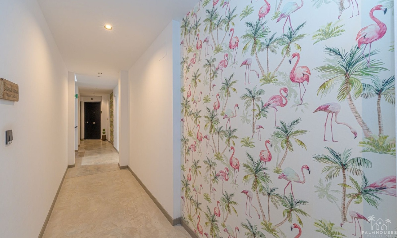 Herverkoop - Appartement - Formentera del Segura - Formentera del Segura Centro