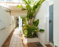 Herverkoop - Appartement - Guardamar del Segura - Guardamar Playa
