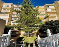 Herverkoop - Appartement - La Mata - Costa Blanca