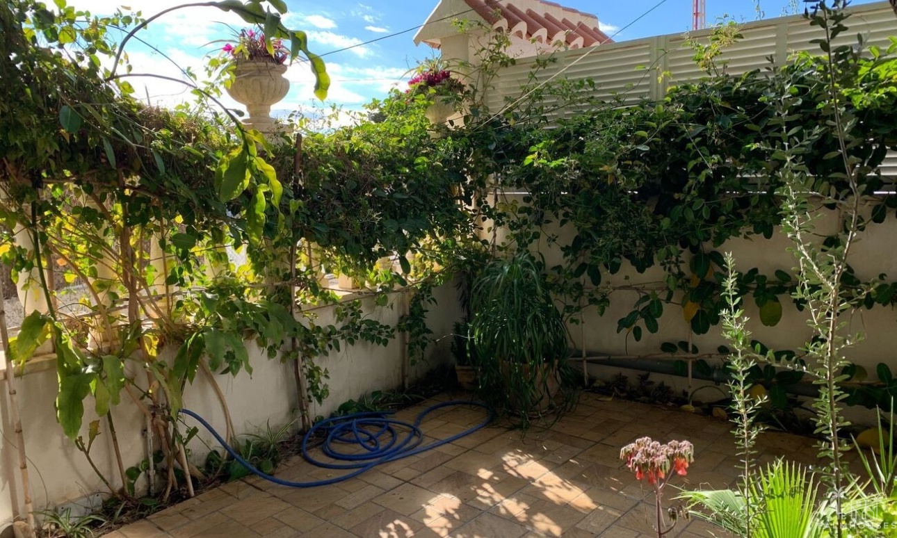 Herverkoop - Appartement - La Zenia - Costa Blanca