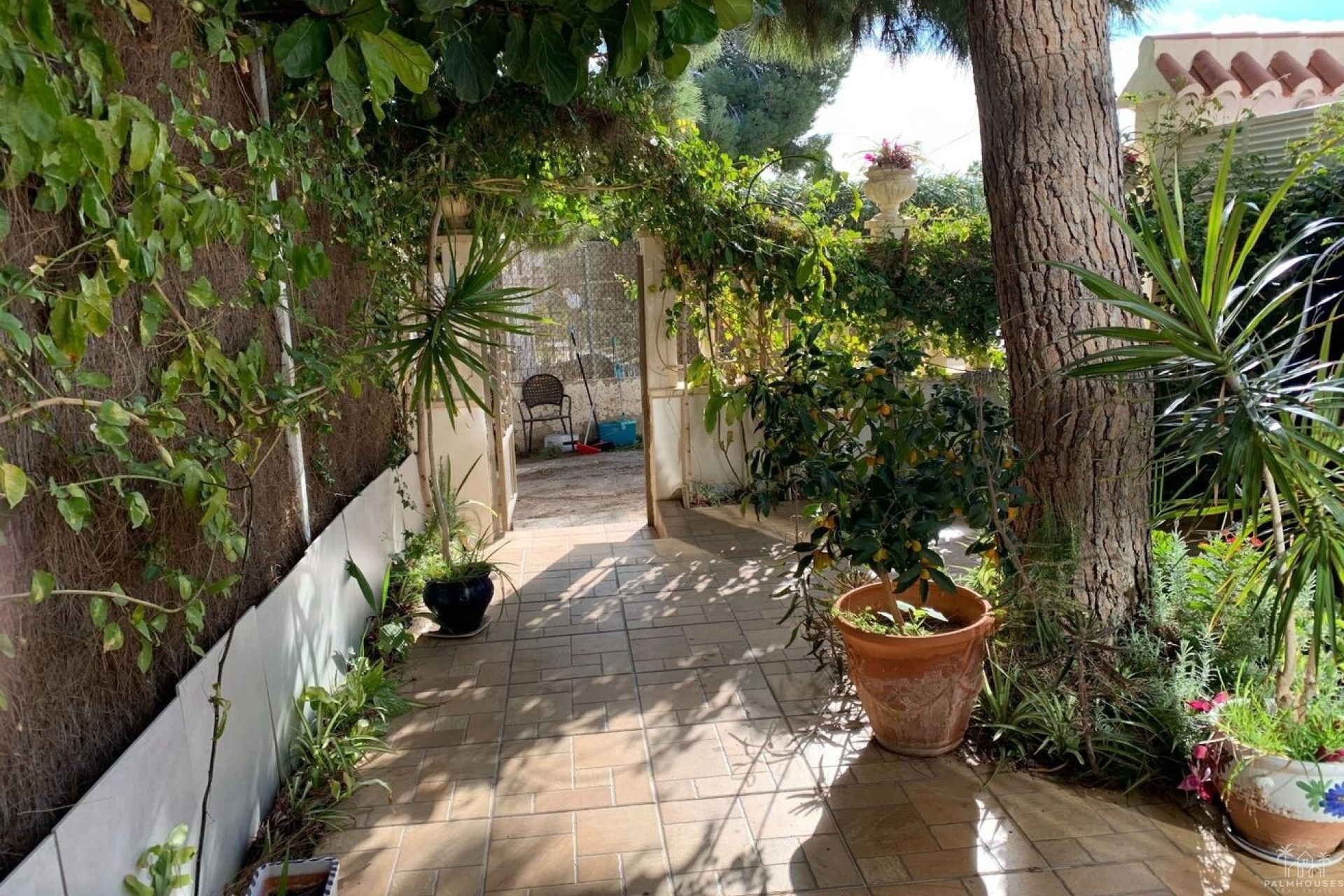 Herverkoop - Appartement - La Zenia - Costa Blanca
