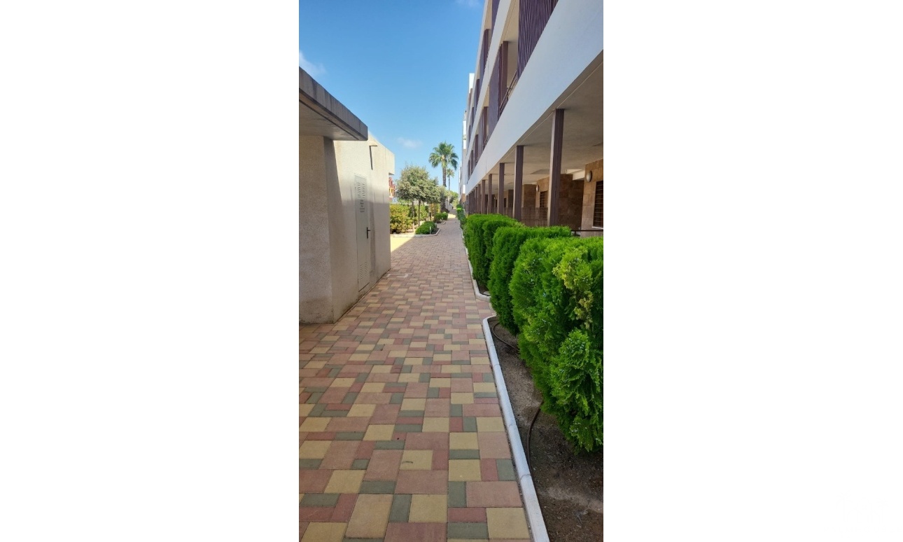Herverkoop - Appartement - Los Dolses