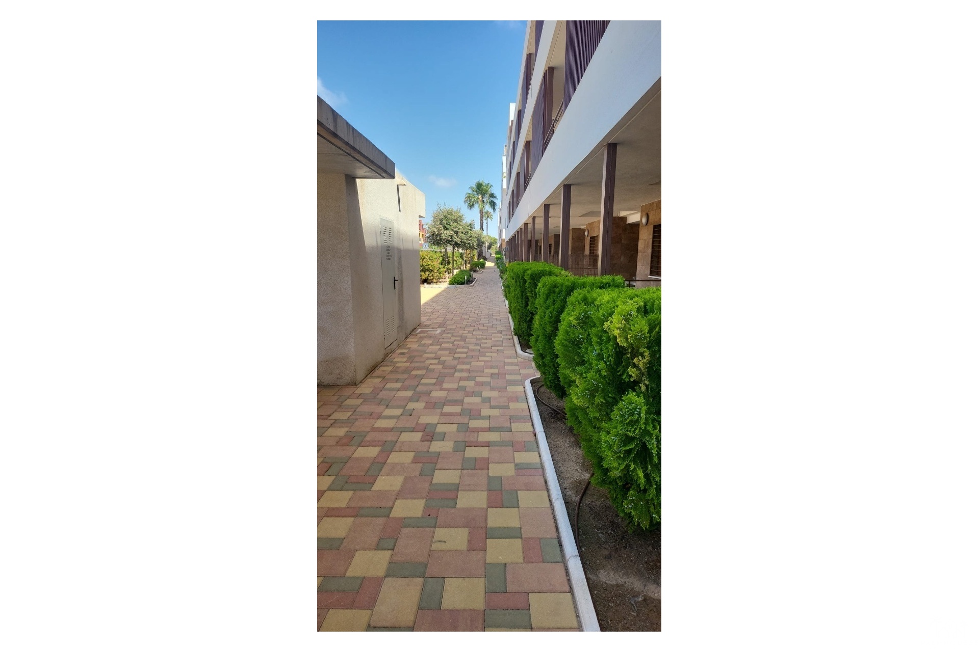 Herverkoop - Appartement - Los Dolses