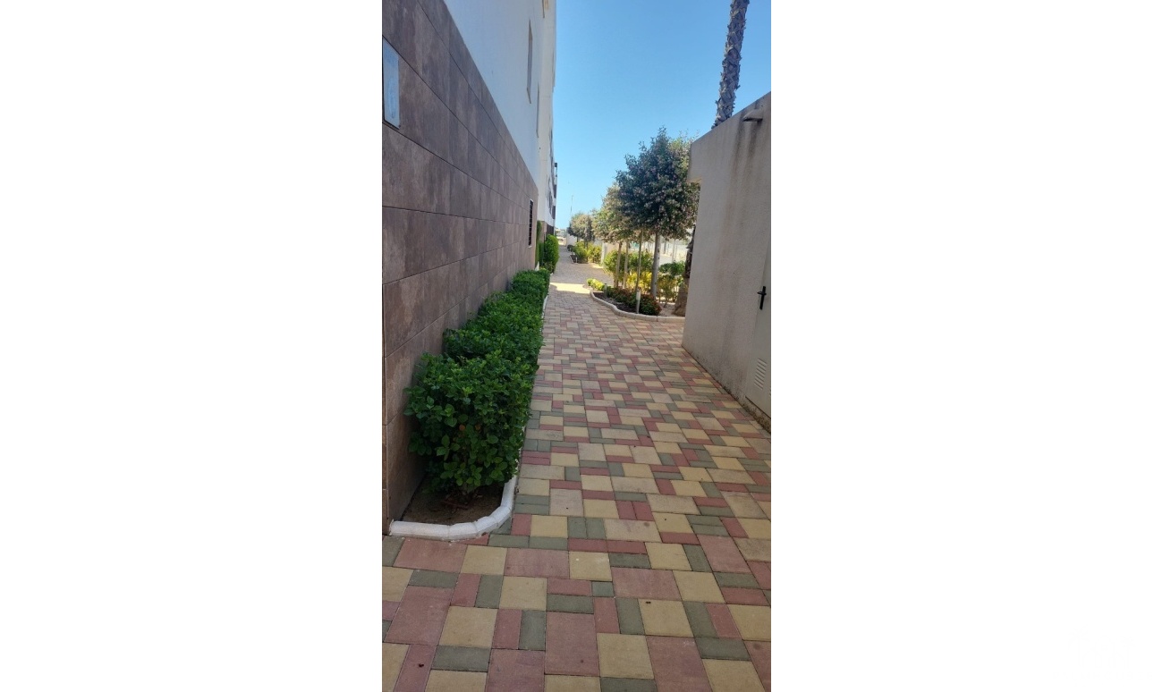 Herverkoop - Appartement - Los Dolses