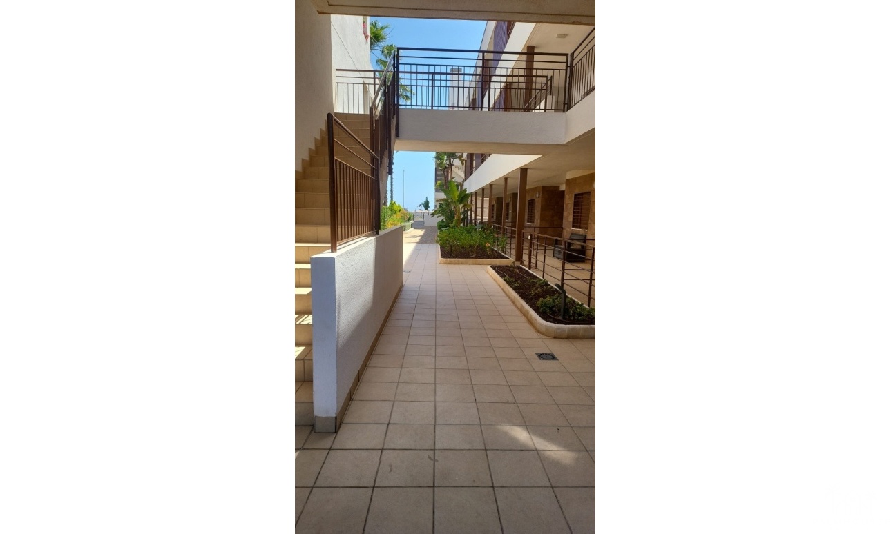 Herverkoop - Appartement - Los Dolses
