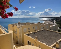 Herverkoop - Appartement - Orihuela Costa - Campoamor