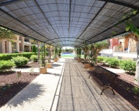 Herverkoop - Appartement - Orihuela Costa - Costa Blanca