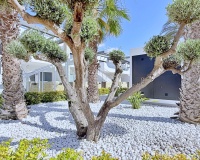 Herverkoop - Appartement - Orihuela Costa - Costa Blanca
