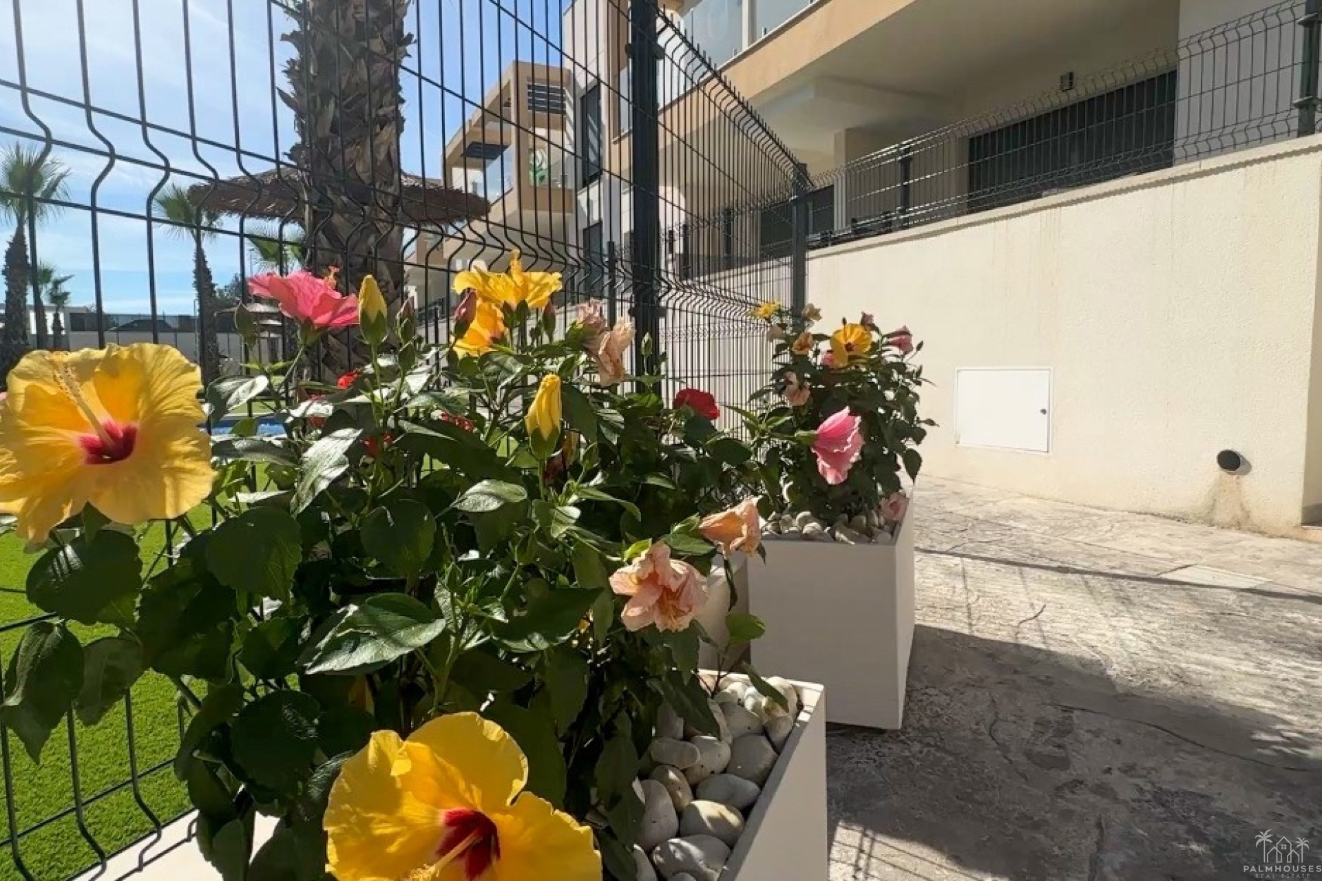 Herverkoop - Appartement - Orihuela Costa - Costa Blanca