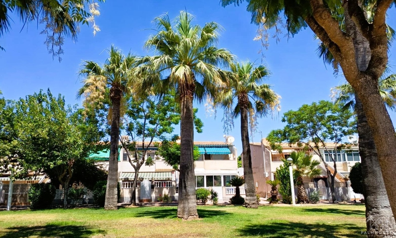 Herverkoop - Appartement - Orihuela Costa - Costa Blanca