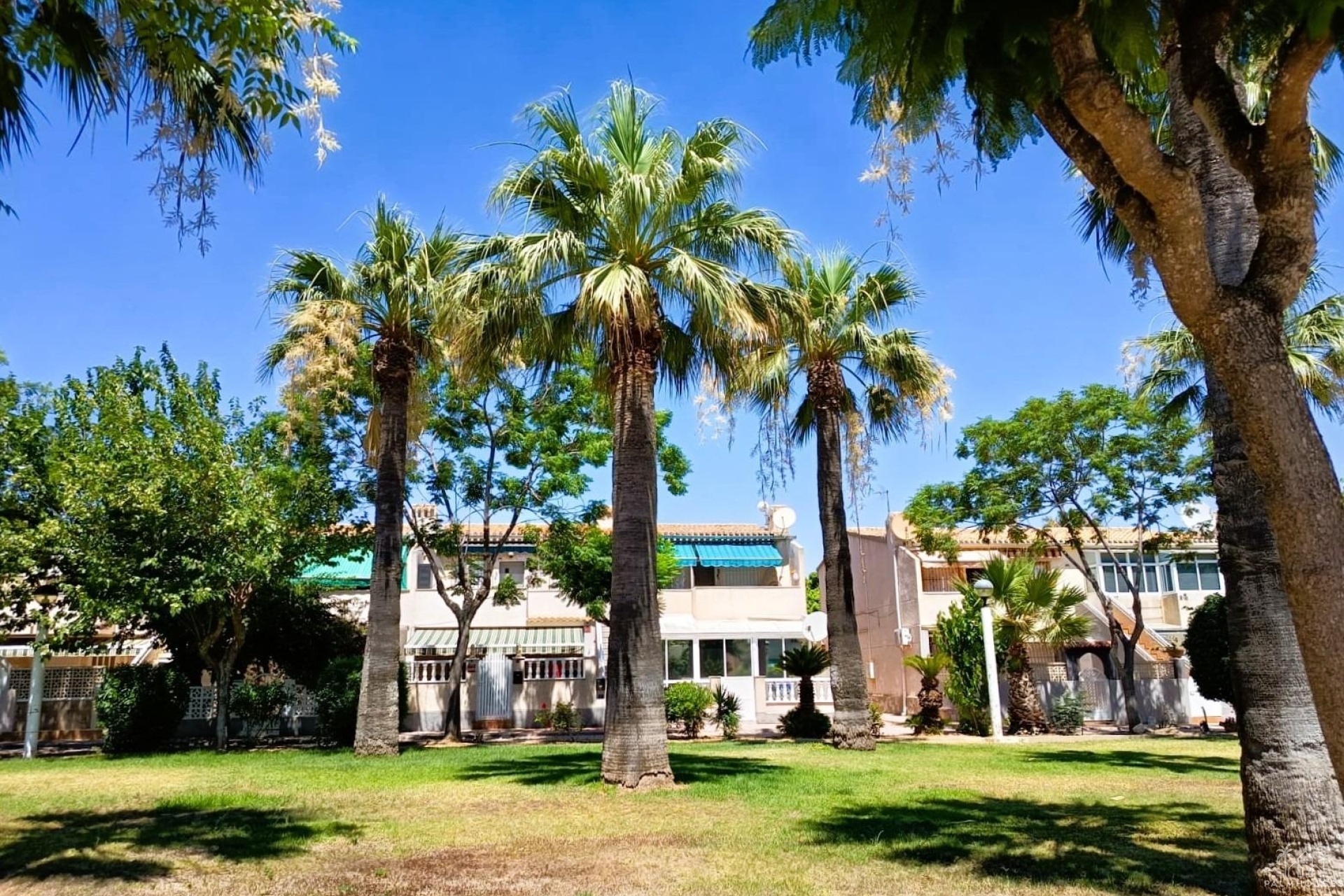Herverkoop - Appartement - Orihuela Costa - Costa Blanca