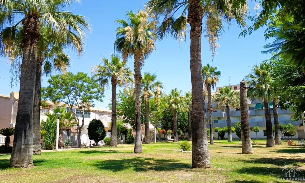 Herverkoop - Appartement - Orihuela Costa - Costa Blanca