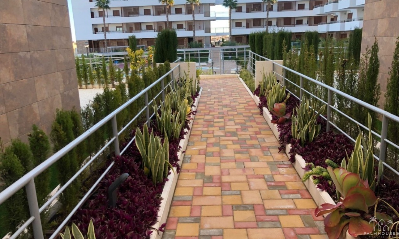 Herverkoop - Appartement - Orihuela Costa - Costa Blanca
